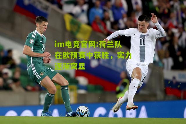 im电竞官网:荷兰队在欧预赛中获胜，实力逐渐突显